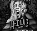 Hedwig a její Angry Inch&nbsp;